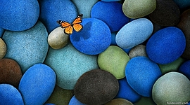 Timeline: Historias que educan