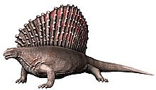 Edaphosaurus