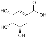 1ª Molècula orgànica