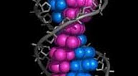 Timeline: Cronograma sobre los principales descubrimientos del DNA
