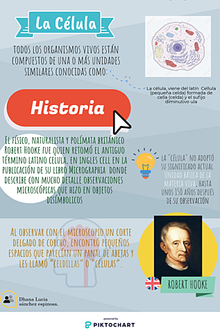 El concepto de célula (Robert Hooke)