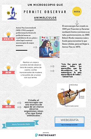 Un microscopio que permite observar animálculos (Antoni Van Leeuwenhoek)