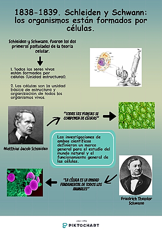 Schleiden y Schwann: los organismos están formados por células