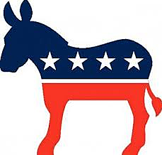 1920's Politics: Democratic Confusion