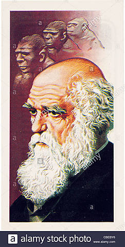 Charles Robert Darwin