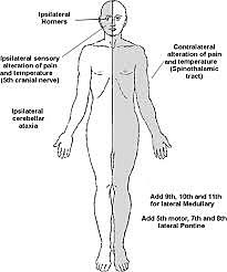 Ingreso de la paciente al HUN
