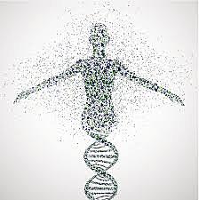 Human genome project