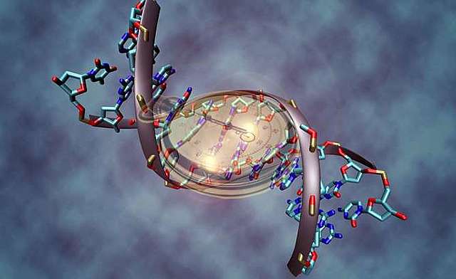 La revista Genome Biology, investigadores de la Universidad de California-Los Ángeles