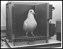 EDWARD THORNDIKE realiza experimentos con gatos, perros y gallinas.