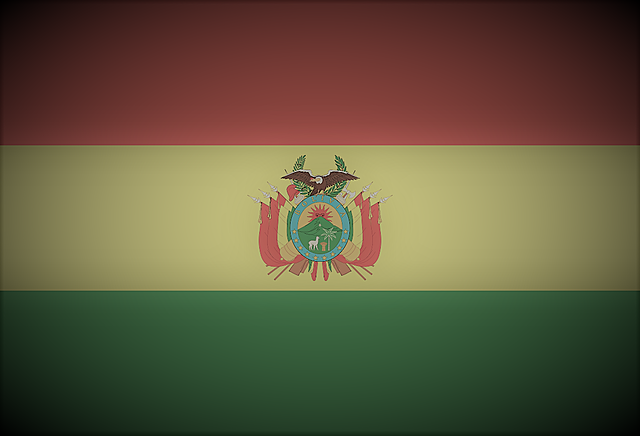 Misión de Buenos Oficios a Bolivia (2006-2008)