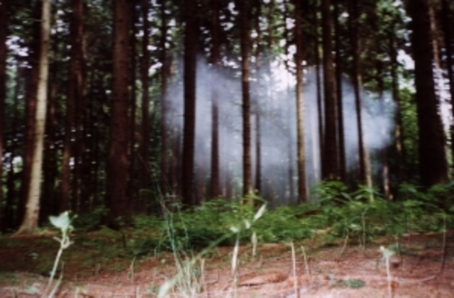 °    (Kringel) - retired