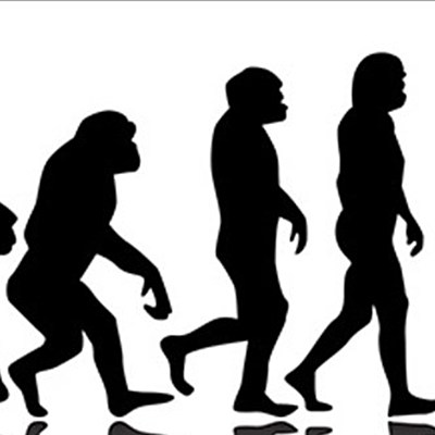 Timeline: Εξέλιξη