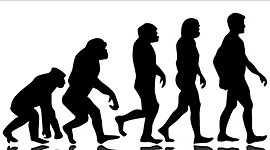 Timeline: Εξέλιξη