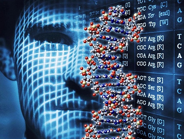 Informatica molecular