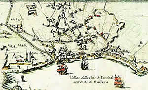 Exporta-se açúcar da Madeira