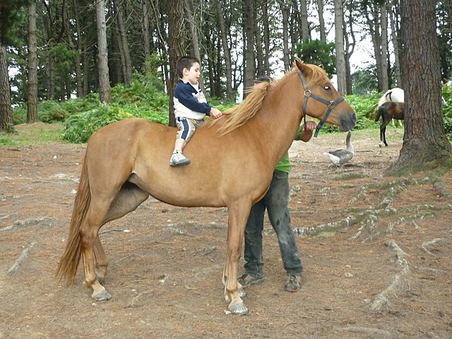 Nire lehenengo paseoa zaldiz.