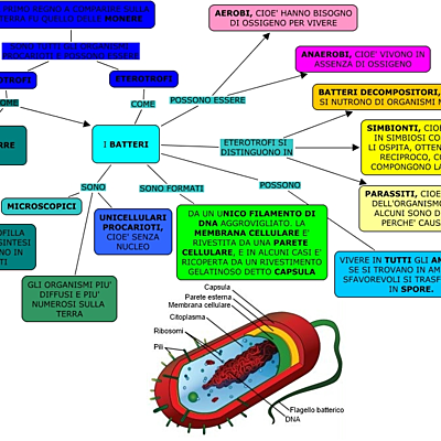 Timeline: scienze