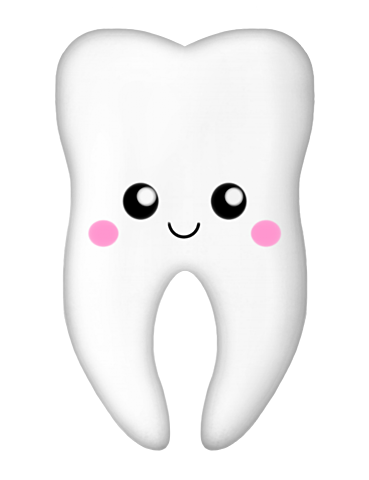 Nire lehenengo ortza.