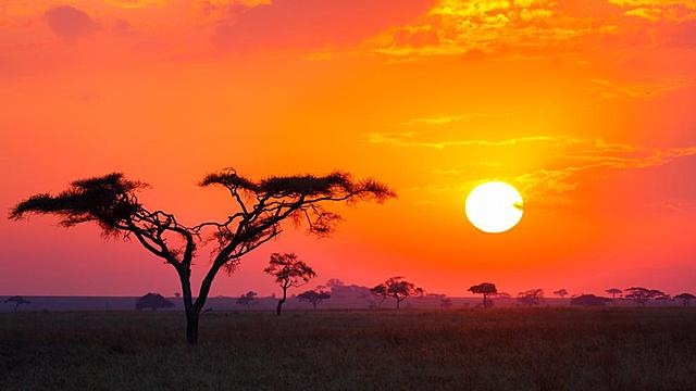 4 m.a. El primer gran paso de la humanidad