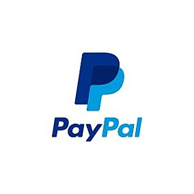 PayPal se hace el rey de los pagos en E-commerce