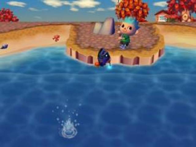 Animal Crossing for the Wii (+)