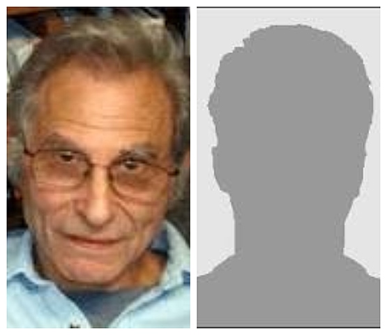 Michael I. Posner y Steven Petersen