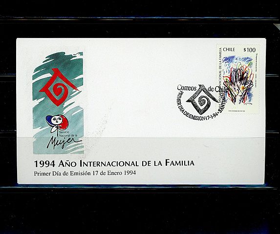 El Año Internacional de la Familia