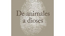 Timeline: DE ANIMALES A DIOSES