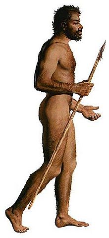 Aparición del Homo sapiens por evolución en África Oriental