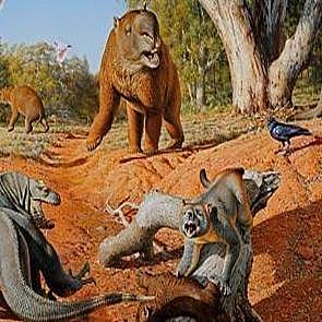 Los sanpiens colonizan Autralia