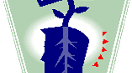 Timeline: historia de evaluación psicológica y psicométrica