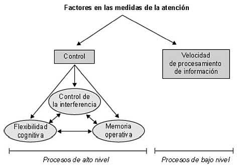 Ríos, Periañez y Muñoz-Céspedes