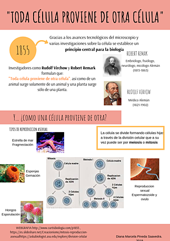 Toda célula procede de otra célula (Remarck y Virchow)