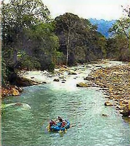 I went white water rafting.