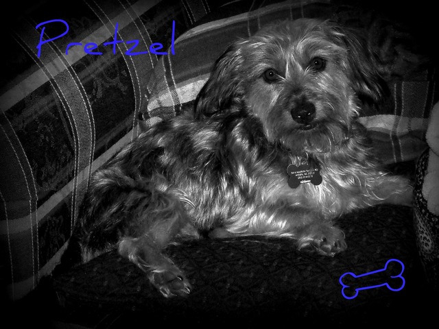 I found and rescued my best friend