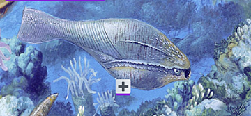 Aparició dels peixos sense mandíbula, uns dels vertebrats més antics.