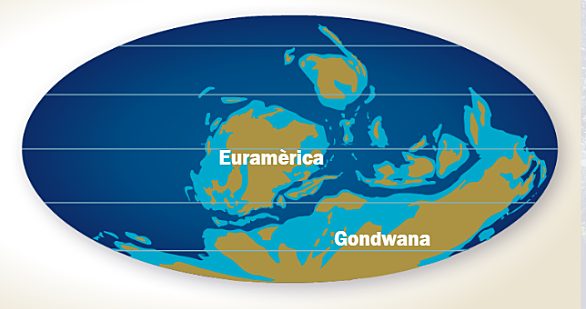 Laurència i Bàltica formen Euramèrica