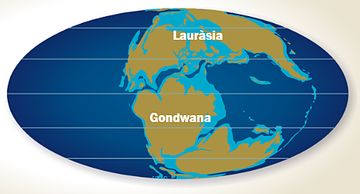 Fragmentació de Pangea