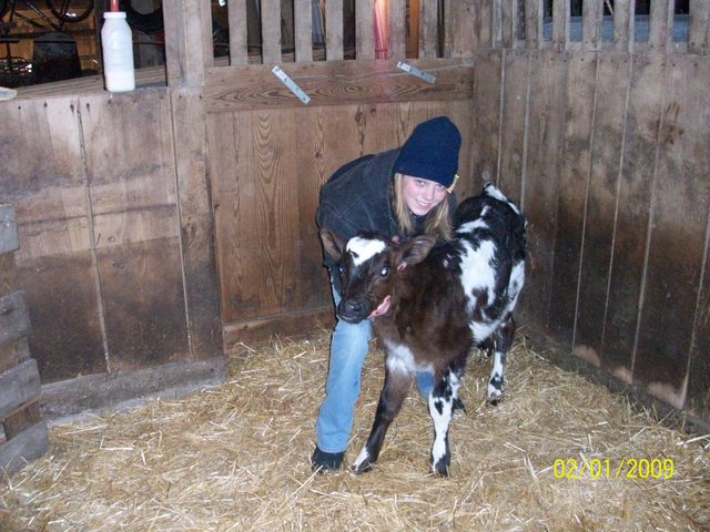 Hace dos años que empecé a cuidar las vacas.