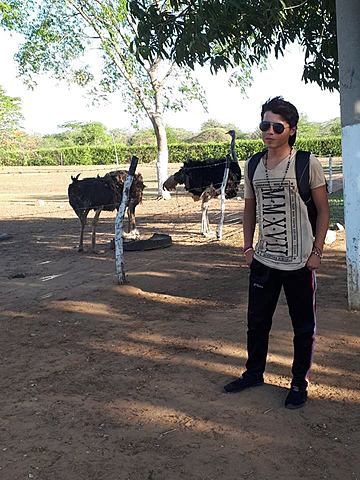 Aquí con las avestruces.