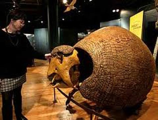 Punta Alta, Argentina