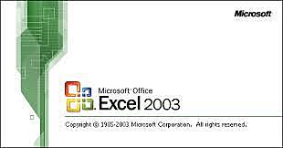 13. Microsoft Excel 11.0