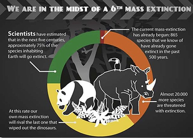 Sixth Mass Extinction