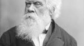 Timeline: Federation 2