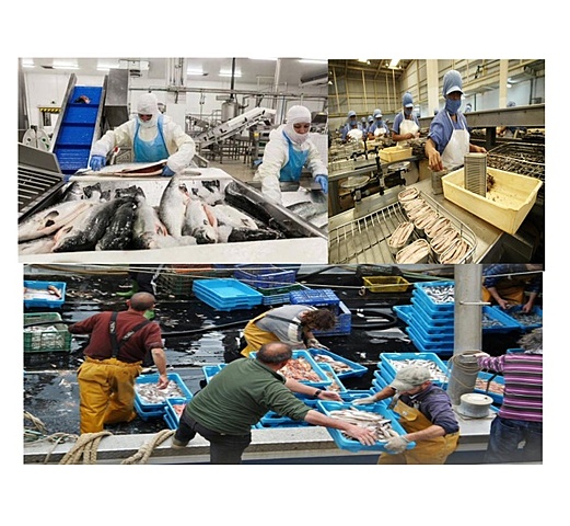 Tratado de Libre Comercio entre Centroamérica y República Dominicana