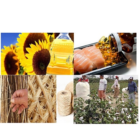 Tratado de Libre Comercio entre Centroamérica y Panamá