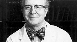 Timeline: historia de la Psicopatologia infancia y adolecencia