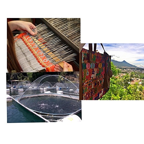 Tratado de Libre Comercio entre Chile y Centro América.