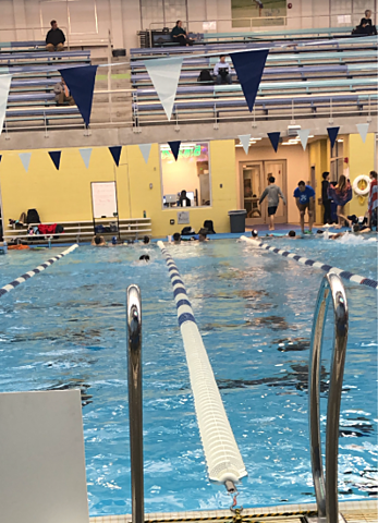 Nager: 2013-maintenant