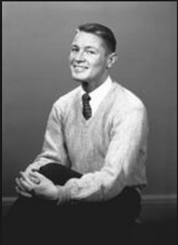 Det mørke jakkesæt